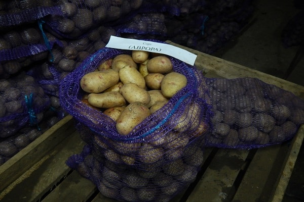 kruimelige aardappelen