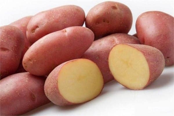 Wit-Russische aardappelen