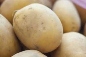 Patates çeşidi Meteor'un tanımı, yetiştirme ve bakım özellikleri