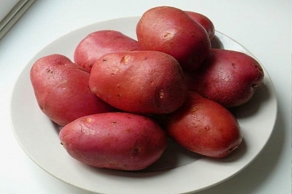 „Rocco“ bulvės