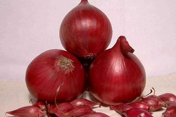 remove the onion