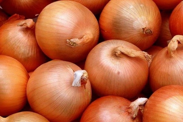 bulb onions