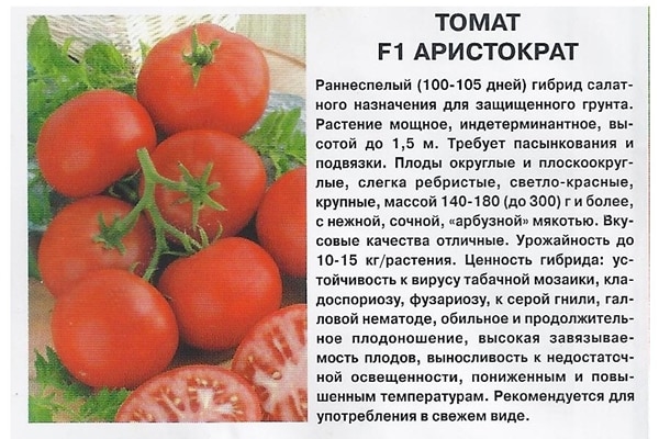 trumpas pomidorų veislės „Aristocrat“ aprašymas