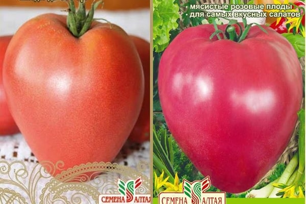 išvaizda pomidorų karališkas