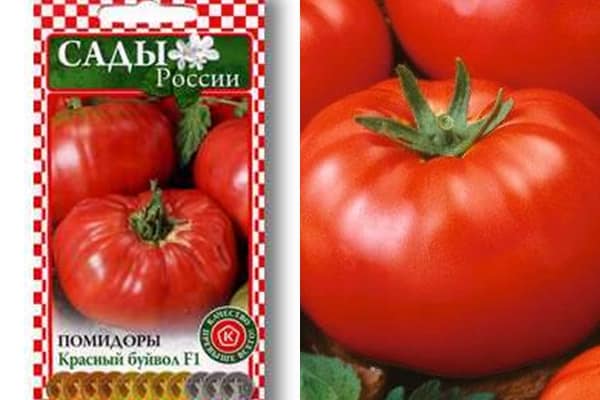 tomaatin siemenet punainen puhvelin