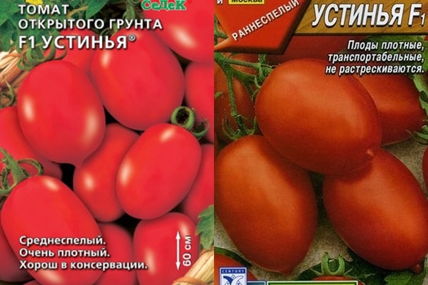 Ustinya domates tohumları