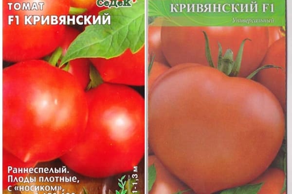tomaatin siemenet Kriviansky