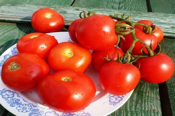 Alhambra tomato