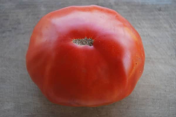 Beschrijving van het tomatenras Barin, kenmerken van teelt en opbrengst