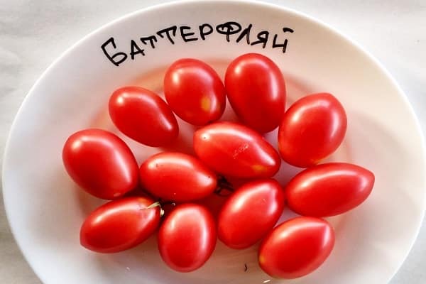 male rajčice