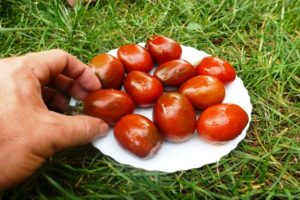 Beskrivelse af variationen af ​​tomatsnødder, anbefalinger til dyrkning og pleje