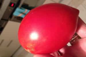 Pomidorų veislės „Darenka“ aprašymas, auginimo ir priežiūros ypatybės