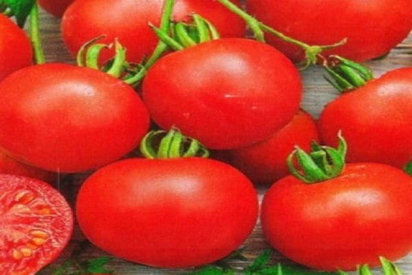 Pomidoras Klepa