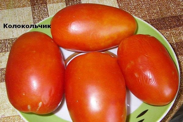 paradajkový zvon