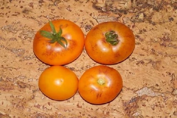tomat appelsin