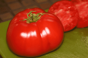 Beschrijving van de Premier-tomatensoort, kenmerken van teelt en verzorging