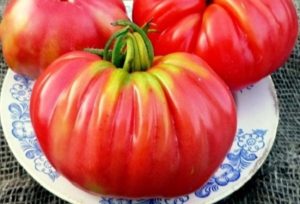 Beschrijving van de variëteit van tomaten Rosamarin-pond, kenmerken van teelt en productiviteit