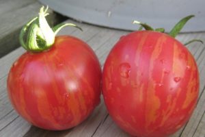 Descripción de la variedad de tomate Vernissage, características de cultivo y cuidado.