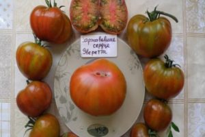 Beschrijving van het roestige hart van de tomatensoort Everett en zijn kenmerken