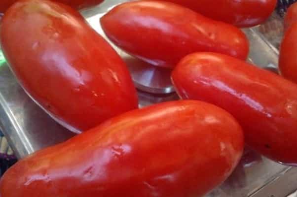 tomaattisokerisormien ulkonäkö