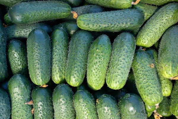 I liked the cucumbers