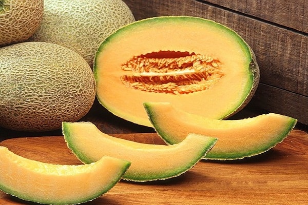 variedades de melón