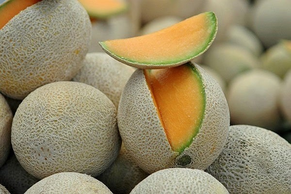 Melone Charente