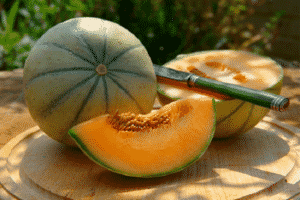 Beskrivelse af melonsorten Cantaloupe (Musk), dens typer og funktioner
