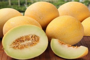 Descrizione della varietà di melone Roksolana f1, coltivazione e cura del raccolto