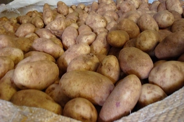 patatas de gelatina
