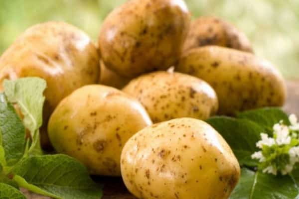 Lorch potatoes
