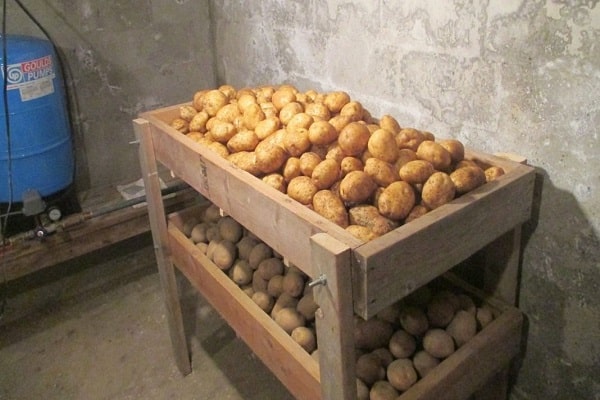 own potatoes