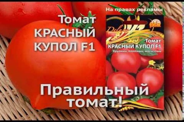 Beschreibung der Tomatensorte Red Dome, ihrer Eigenschaften und ihres Ertrags