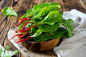 Description of the variety of leaf beet Swiss chard, features of cultivation and care