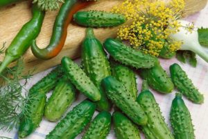 Quadrille salatalık çeşidinin tanımı, yetiştirme ve bakım özellikleri