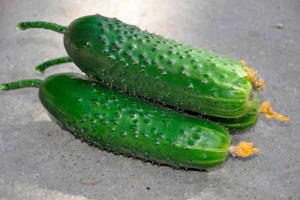 mouth-watering cucumbers