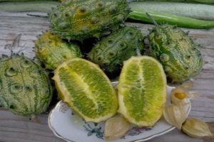 Odmiany Horned Melon (Kiwano), jego charakterystyka, opis i uprawa