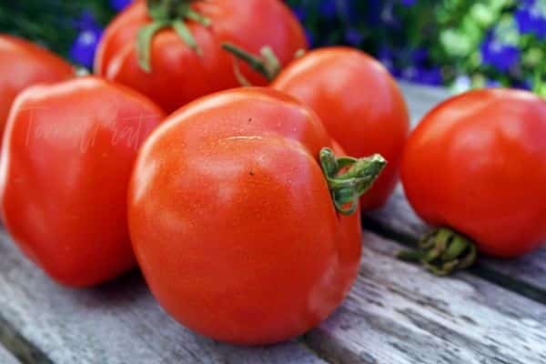 tomātu Atols