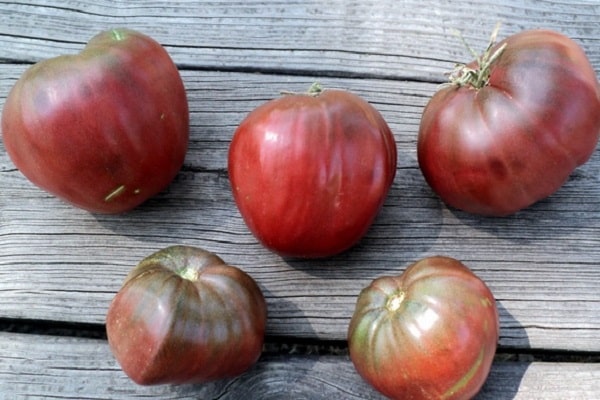 Pomidorų veislės „Black Heart of Breda“ aprašymas, auginimo ir priežiūros ypatybės