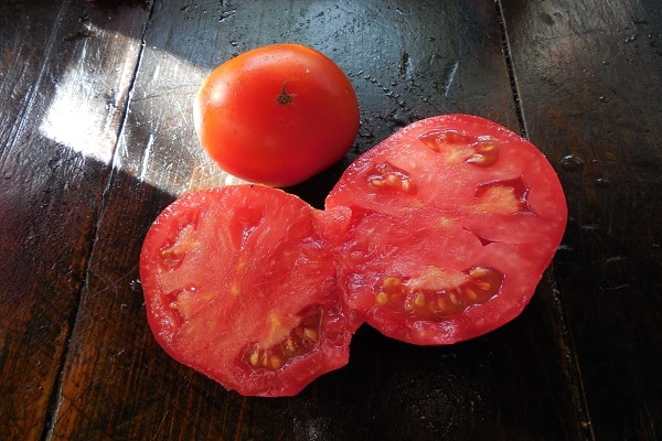 paradajka Ermak