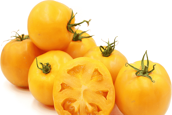 zonne-tomaat