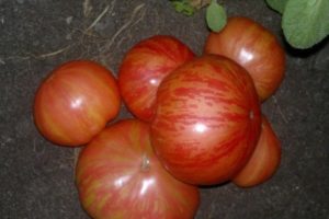 Descripción de la variedad de tomate Vintage vid, sus características y productividad