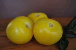 Opis odrody paradajok Žltá guľa, vlastnosti pestovania a starostlivosti