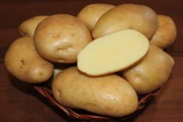 patates bakımı