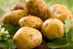 Descripció de la varietat de patates Zekura, característiques i rendiment
