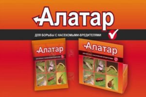 Instructions pour l'utilisation du remède Alatar pour le doryphore de la pomme de terre