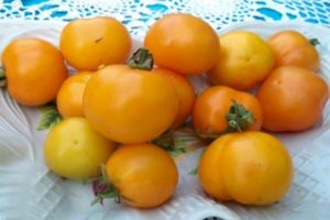 תיאור זן העגבניות אננס, תכונות טיפוח וטיפול