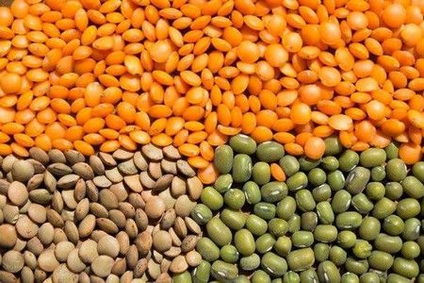 varieties of lentils