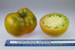 A Cherokee zöld-arany paradicsom fajtájának leírása, a termesztés és az ápolás jellemzői
