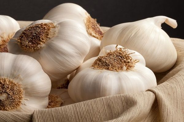 garlic in a bag